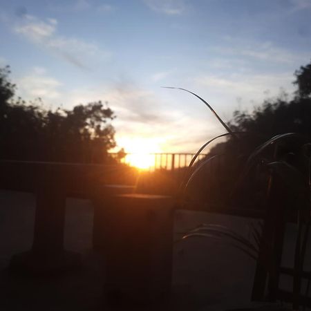 Solace إيلا المظهر الخارجي الصورة